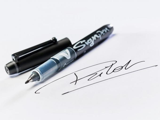 Feutre PILOT V-SIGN PEN