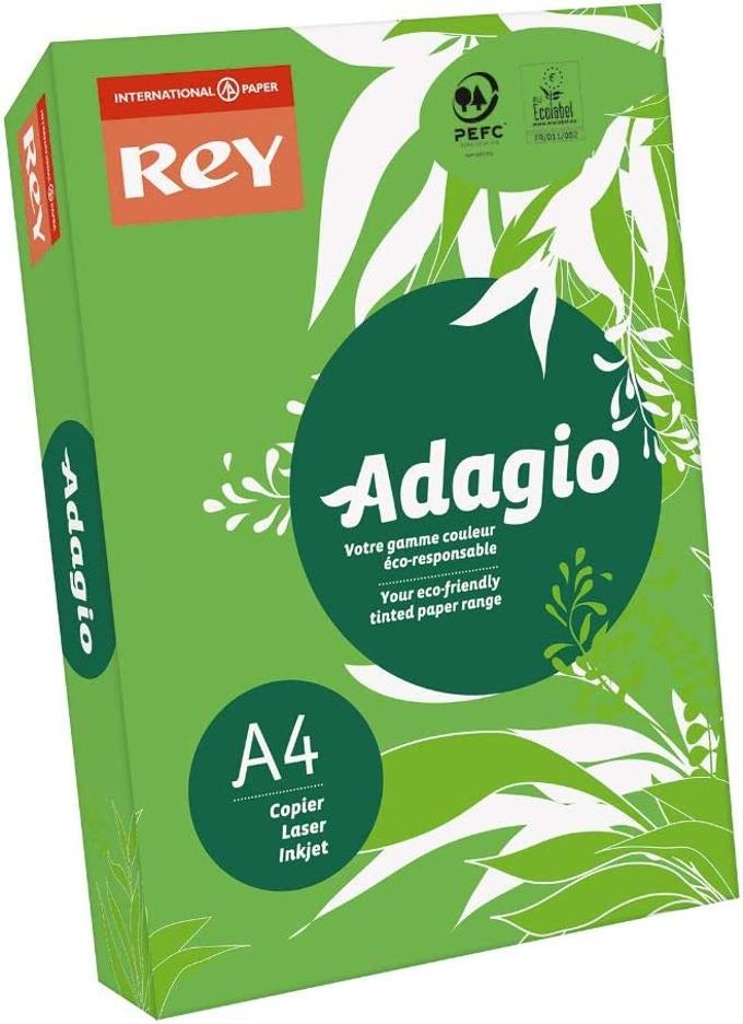 Papier A4 Couleur Intense Vert REY ADAGIO